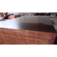 Hot Sale! Film Faced Plywood or Marine Wood
